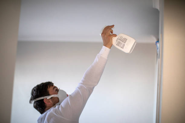 Best Kitchen Mold Remediation in South Pasadena, FL