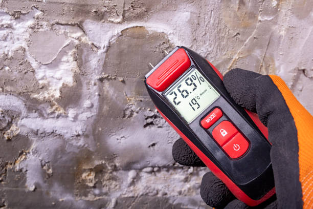 Best Crawl Space Mold Remediation in South Pasadena, FL