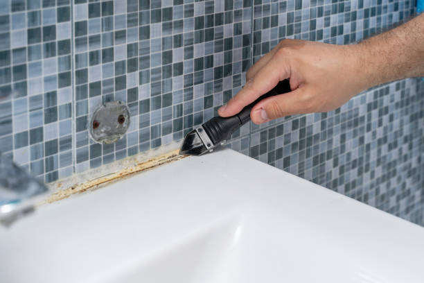 Best White Mold Remediation in South Pasadena, FL