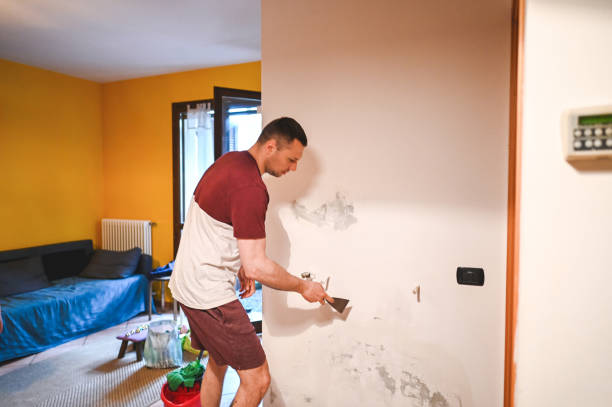 Best Commercial Mold Remediation in South Pasadena, FL